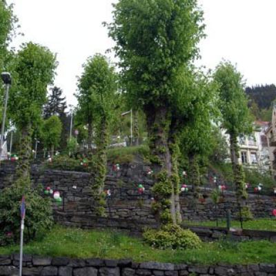 Jubileum26mai 8 20120726 1862001564
